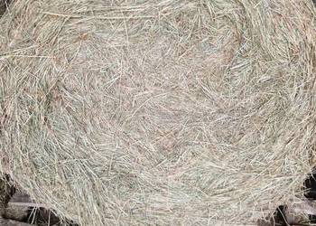 Siano pogodne z sianych łąk. Bele 120na135 MOŻLIWY TRANSPORT