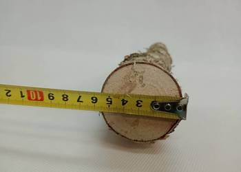Kołki patyki patyczki brzozowe 5 SZTUK  50 cm długości, od 5 cm grubości