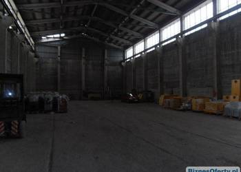 do wynajmu hala 1300 m2