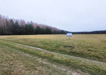 Malownicza działka 1,22 ha przy lesie – Radawie