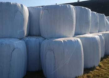 Sianokiszonka 2 pokos 2025