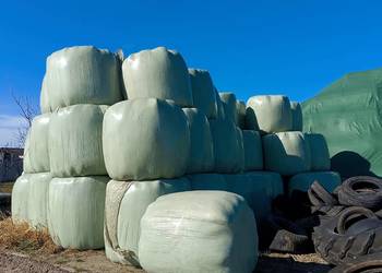 Sianokiszonka bale i siano