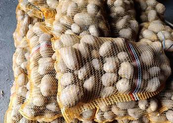 Ziemniaki jadalne lila 699110038