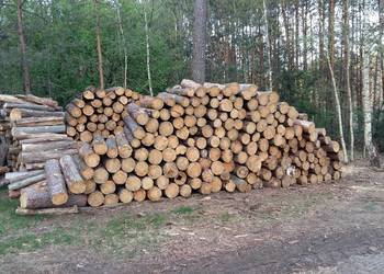 Drewno opałowe ,opał Sosna w grubych wałkach