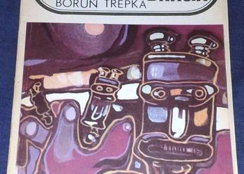 Kosmiczni bracia - Krzysztof Boruń, Andrzej Trepka