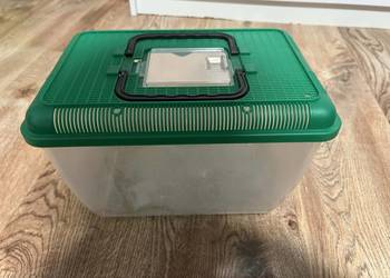 Terrarium / transporter