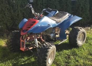 Bashan 200/250 quad