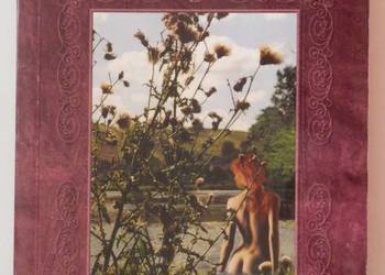 SAGA O LUDZIACH LODU T. 12 - GORĄCZKA SAGA O LUDZIACH LODU T. 12 - GORĄCZKA