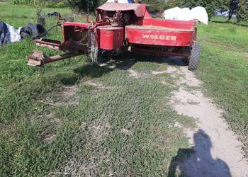 Sprzedam Prase Welger