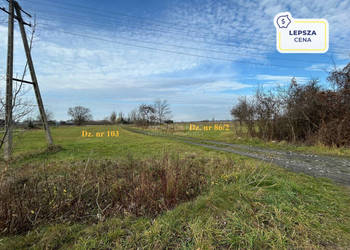 Dwie działki w Żukach - rolna i pod zabudowę