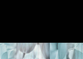 Dekor Tulip turquise Inserto 25 x 75, seria Marcello, Ceramika Końskie