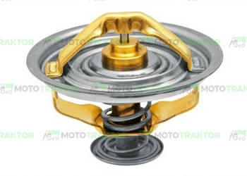 TERMOSTAT DO CASE FENDT