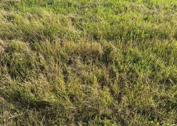 Oferta sprzedaży działki Jarosławiec 500 metrów