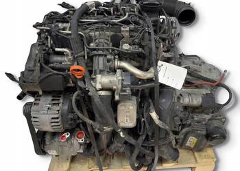 SILNIK CAY CAYC VW Golf VI Polo V Touran II 1T Passat B6 B7 1.6 TDI 105KM
