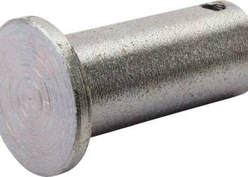 Sworzeń zawiasu, ocynkowany 507010KR