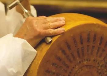 Parmigiano Reggiano 20 kg dojrzewanie  24 Miesiące-Pół kręgu