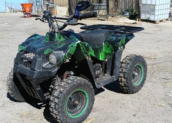 Quad 50