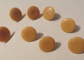 Zaślepka otworu, maskująca, brązowa, 3x12mm, 8szt. (meblowe)
