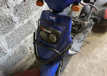 Tgb 101s Orion 50cc