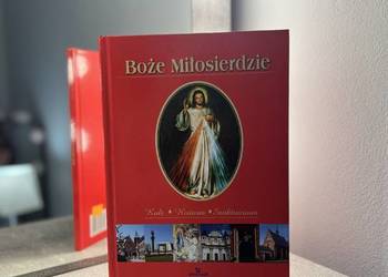 "Boże miłosierdzie" Joanna Wilder ARYSTOTELES