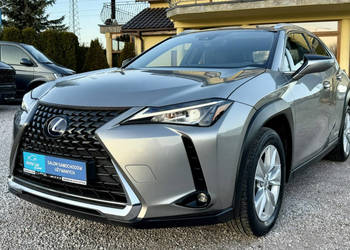 Lexus UX 250h,Hybryda,Idealny,Gwarancja