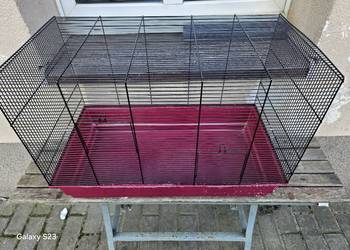 Klatka dla Papug i innych zwierząt