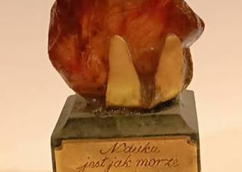 Bursztyn Bałtycki na Marmurowej Podstawie z Sentencją o Nauce