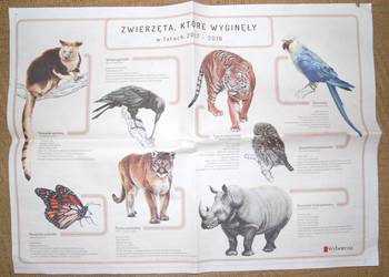 Zwierzęta, które wyginęły 2017-2019 - Gazeta Wyborcza