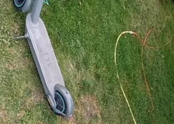 Huljanoga elektryczna Motus scoty 10