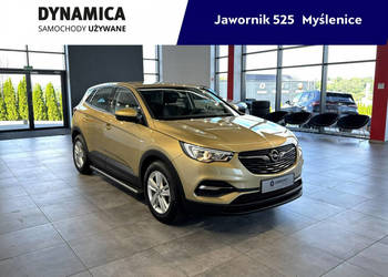Opel Grandland X 1.2Turbo 130KM M6 2018/2019 r., salon PL, 115tys.km przeb…