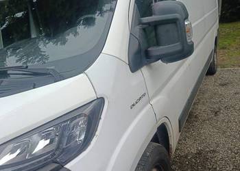 Boxer 2019 r