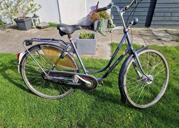 Rower Gazelle Impala 28 cali