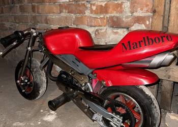 Mini Scigacz pocket bike