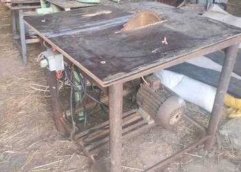 Krajzega cyrkulatka piła tarczowa