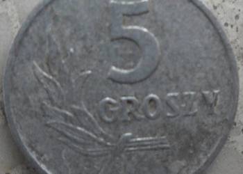 POLSKA-5 GROSZY-1962 r (b.z.)-AL-