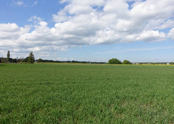 Skoczów Pruchna 1,15ha w samym centrum z prawem zabudowy widokowa
