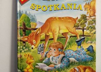 Książka, bajkia dla dzieci w twardej oprawie.