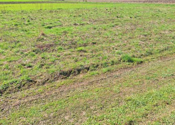 Oferta sprzedaży gruntu Jaszczew 882m2