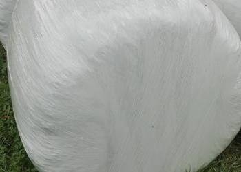 sianokiszonka z koniczyny sianokiszonka z koniczyny