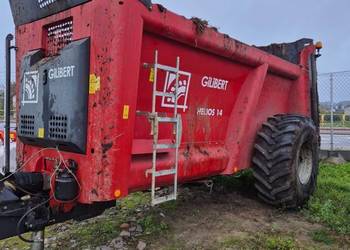 Rozrzutnik gilbert Rozrzutnik gilbert