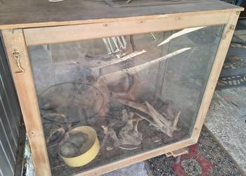 Terrarium plus wyposażenie