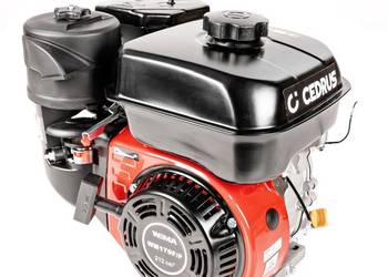 Silnik WM170F/P CEDRUS glebogryzarka GL10 T010330199