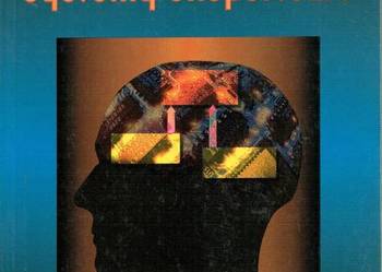 SYSTEMY EKSPERTOWE - MULAWKA J. JAN