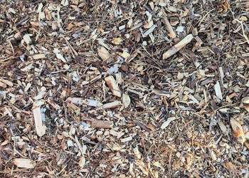 Zrębki mieszane, opałowa do ściółkowania, biomasa