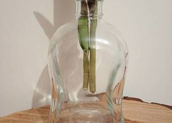 Stylowa butelka Nalewka Babuni 750ml. Duża Szklana