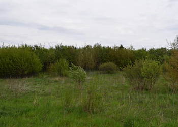 Działki 9.65a w Kańczudze