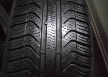 205.55.16 Pirelli całoroczne