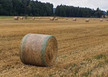 Siano bele ekoNATURA 2025