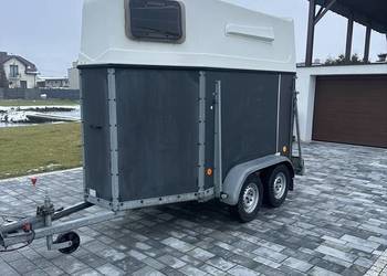 Przyczepa do przewozu 1,5 konia kąt B