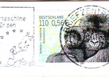 Zn. RFN Wycinek Mi 2182  kas 2001